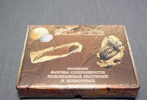 Коллекция "Формы сохранности ископаемых растений и животных" - fgospostavki.ru - Полевской