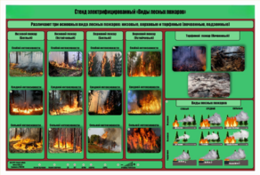 Стенд-планшет электрифицированный «Виды лесных пожаров»  - fgospostavki.ru - Полевской