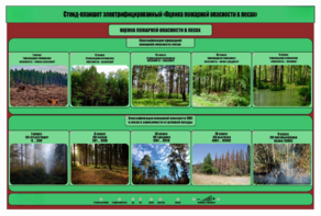 Стенд-планшет электрифицированный «Оценка пожарной опасности в лесах»  - fgospostavki.ru - Полевской