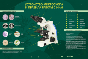 Электрифицированный стенд "Устройство микроскопа и правила работы c ним" - fgospostavki.ru - Полевской