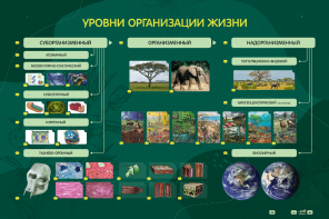 Электрифицированный стенд "Уровни организации жизни" - fgospostavki.ru - Полевской