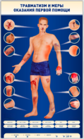 Электрифицированный стенд-тренажер "Травматизм и меры оказания первой помощи" - fgospostavki.ru - Полевской