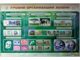 Электрифицированный стенд "Уровни организации жизни" - fgospostavki.ru - Полевской