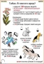Комплект кодотранспарантов "Ядовитые растения" - fgospostavki.ru - Полевской